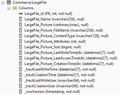 Managing Large Objects - Picture 322